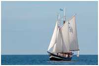 23. Hanse Sail Rostock vom 8.-11. August 2013